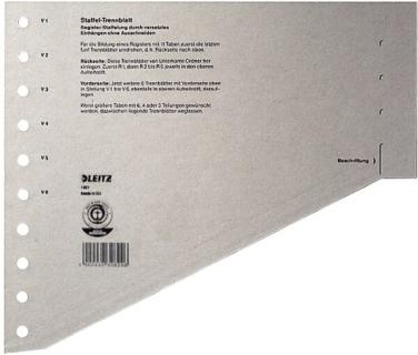 Staffel-Trennblätter Karton A4 grau 
