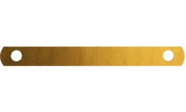 LEITZ Abdeckschienen, für DIN A4 Fo rmat, gold lackiert (80171400)