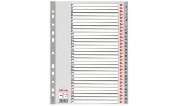 LEITZ Esselte Kunststoff-Register, Zahlen, A4, 1-31, grau 31-teilig, PP, 0,12 m