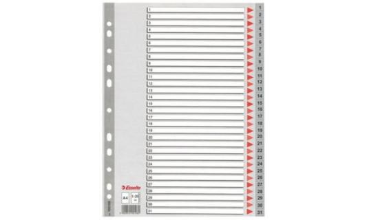 LEITZ Esselte Kunststoff-Register, Zahlen, A4, 1-31, grau 31-teilig, PP, 0,12 m