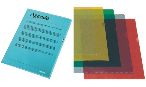 LEITZ Esselte Sichthüllen Standard, DIN A4, PP, grün, 0,12 mm oben und seitlich