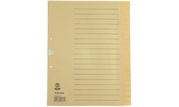 LEITZ Esselte Tauenpapier-Register, blanko, A4, 20-teilig, chamois 2-fach Lochu