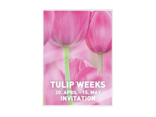 Image LEITZ_LaminierfolieA3UDT100mic100_mit_richtungsweisenden_img2_3715638.jpg Image