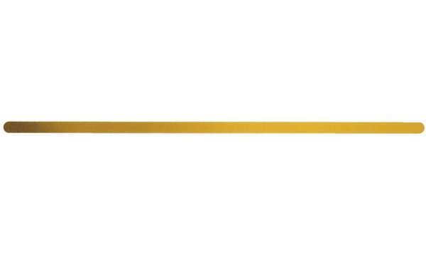 LEITZ Metall-Aufreihband für ALPHA-Hängeregistratur goldfarben lackiert (1712-0