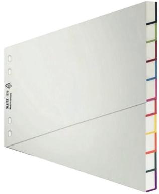 LEITZ Register Blanko - Plastik - Grau - Pappe - Kunststoff - Leer (1270-01-00)