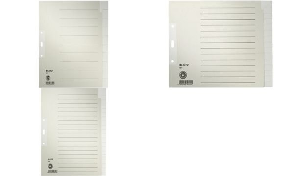 LEITZ Tauenpapier-Register, blanko, A4, 20-teilig, grau 100 g-qm, Lochung: 80 m