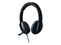 Image LOGITECH_Headset_H540_USB_img2_3683052.jpg Image