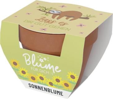 Blumentopf m. Blume Motiv Faultier Terracottatopf, Kokosquellpad