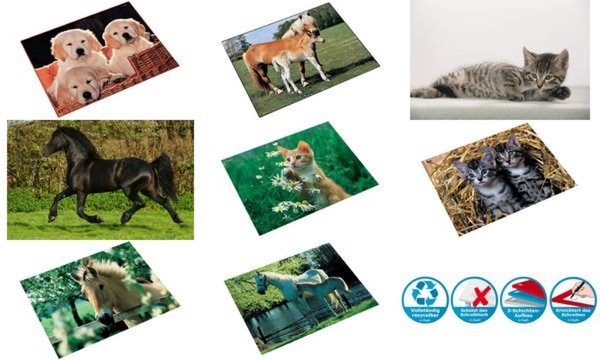 Läufer Schreibunterlage Pferd am We idezaun, 400 x 530 mm (5051014)