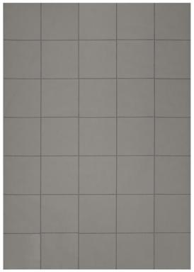 Magnetoflex Takkis 20x20x0,75 mm 60 Stück