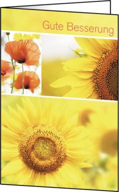 Image Motiv-Karten_inkl_weie_Umschlge_Gute_Besserung_img2_4395950.jpg Image