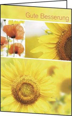 Image Motiv-Karten_inkl_weie_Umschlge_Gute_Besserung_img5_4395950.jpg Image