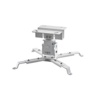 Image MultiCel_1200W_a_0219.jpg Image