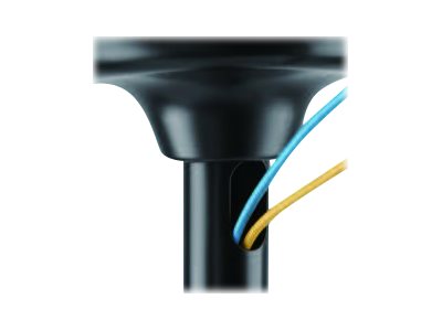 Image NEOMOUNTS_BY_NEWSTAR_Flat_Screen_Ceiling_Mount_img9_3683677.jpg Image