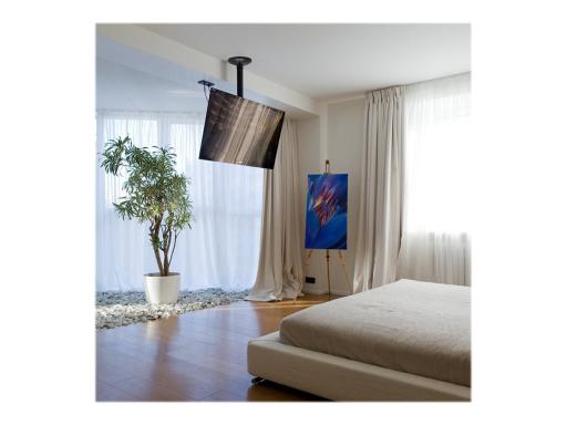 Image NEOMOUNTS_BY_NEWSTAR_LCDLED_Deckenhalterung_img3_3715123.jpg Image