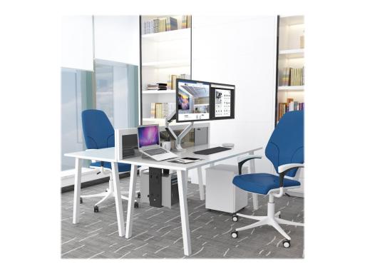 NEOMOUNTS BY NEWSTAR NM-D750DSILVER Monitor-Tischhalterung