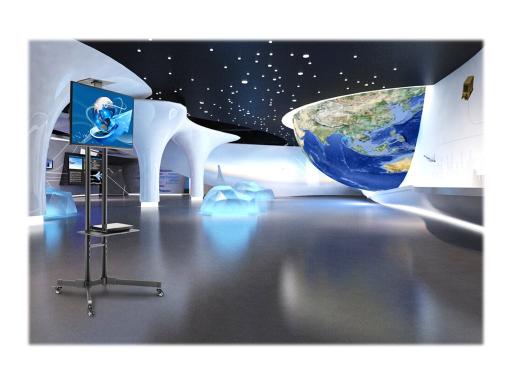 Image NEOMOUNTS_BY_NEWSTAR_PLASMA-M1700E__Mobile_img4_3683688.jpg Image