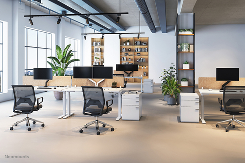 Image NEOMOUNTS_BY_NEWSTAR_PLUS_desk_mount_for_curved_img2_3683280.jpg Image