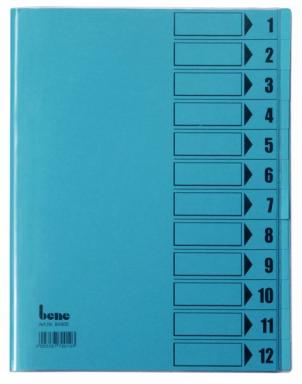 Image Ordnungsmappe_12_Fcher_blau_A4_Mappe_img2_4403305.jpg Image