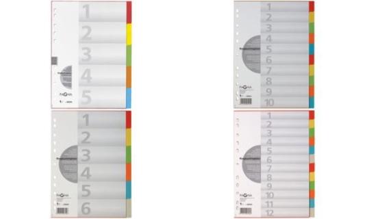 PAGNA Karton-Register, DIN A4, 10-t eilig, 5-farbig (63200120)
