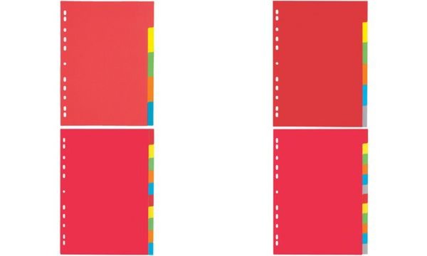 PAGNA Karton-Register, DIN A4, 6-te ilig, 6-farbig (63106120)