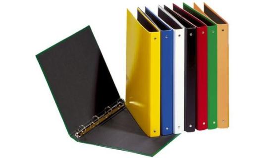 PAGNA Ringbuch Basic Colours, 4 R ing-Mechanik, grün (62060505)