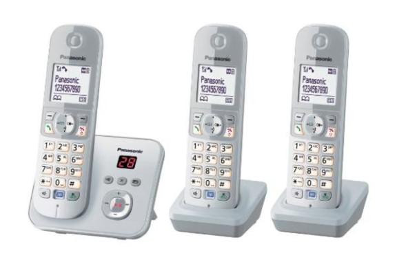 PANASONIC KX-TG6823GS perlsilber Trio mit AB