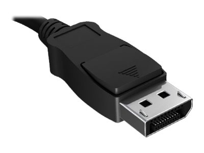 Image RAIDSONIC_Adapter_DP_12_zu_HDMI_untersttzt_img2_3980556.jpg Image