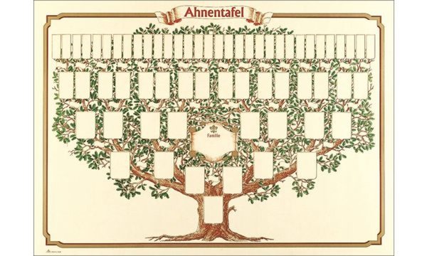 RNK Verlag Schmuck-Ahnentafel Skiz zierter Baum, 70 x 50 cm (6530100)