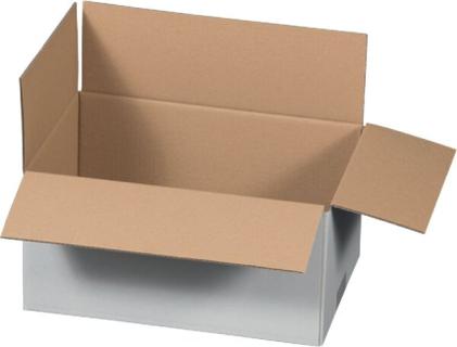 Versandkarton 1-wellig, weiß, Außenmaß: 295x195x140mm