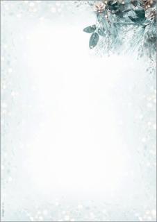 Image SIGDP424_A01.jpg Image