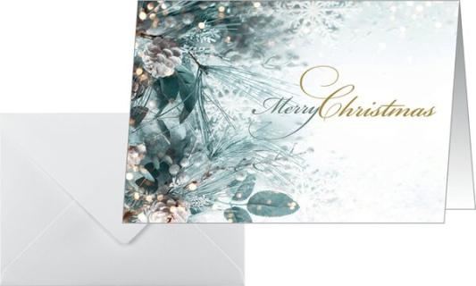 Image SIGDS086_A01.jpg Image