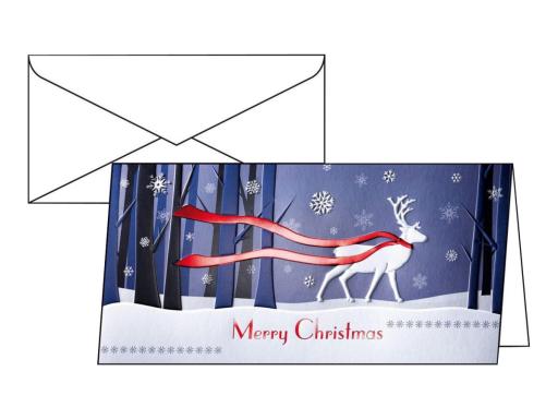 Image SIGEL_Christmas_Card_Winters_Eve_-_Hochglanzgrukarten_img4_3804525.jpg Image