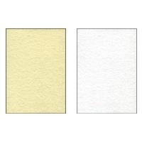 Image SIGEL_Structure_Paper_DP607_-_Two-sided_parchment_img3_3798615.jpg Image