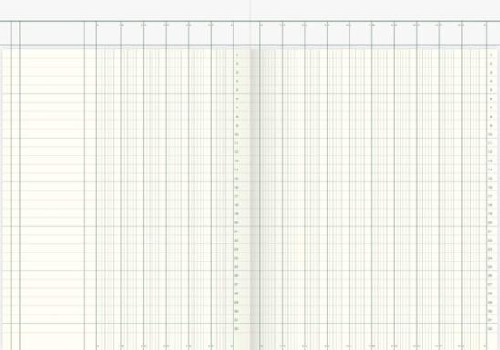 Spaltenbuch A4 16 Spalten 40 Blatt holzfrei, kartoniert
