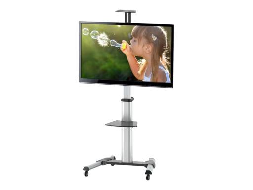 Monitor Wagen
