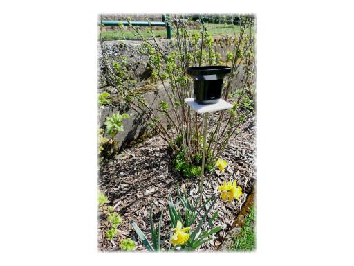 Image TFA-DOSTMANN_47300501_Regenmesser_img3_3692346.jpg Image