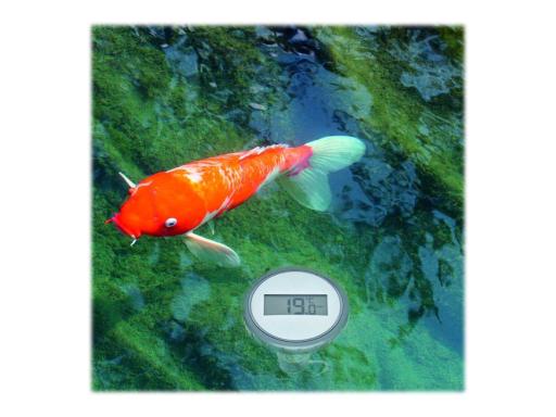 Image TFA-DOSTMANN_Funk-Poolthermometer_Palma_Poolthermometer_img4_3692341.jpg Image