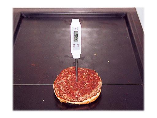 Image TFA_301013_elektr_Einstich-_thermometer_img6_4398476.jpg Image