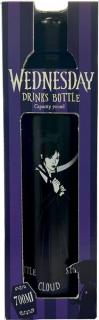 Trinkflasche 700ml Wednesday Stahltrinkflasche,
