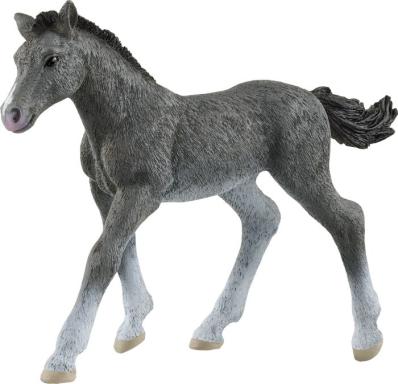 Trakehner Fohlen, Nr: 13944