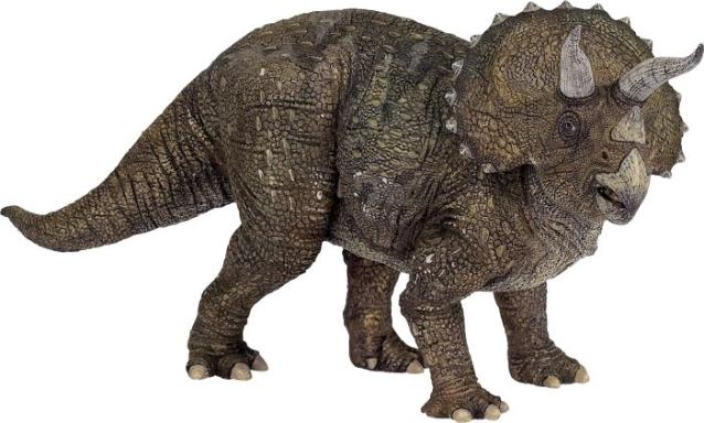 Image Triceratops_Nr_55002_img0_4916355.jpg Image