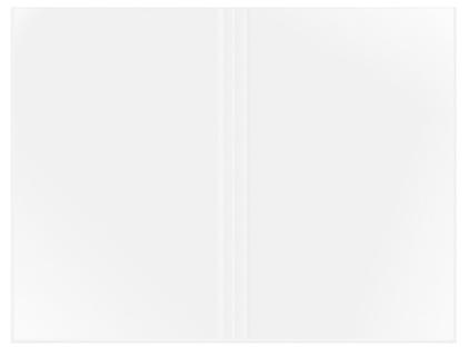 Doppelhülle A4 PP-Folie 10er 75my