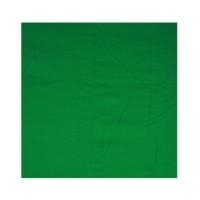 WALIMEX Cloth Background 2,85x6m green