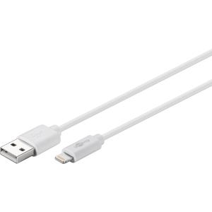 Image WENTRONIC_CAM_NP-FF7071_BLACK_1300MAH_LION_img3_4092540.jpg Image