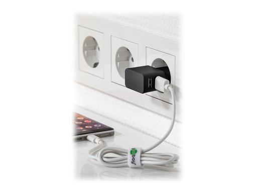 Image WENTRONIC_Goobay_USB-C_Dual_Ladeset_24A_bk_img2_4047100.jpg Image