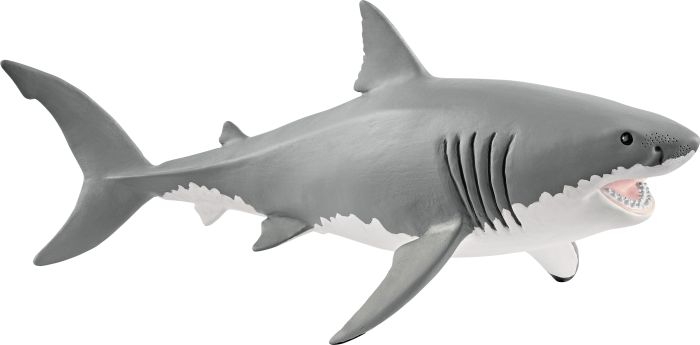 Weißer Hai, Nr: 14809
