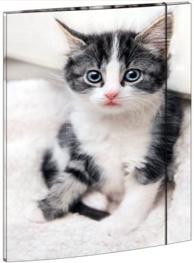 Image Zeichenmappe_A3_Katze_mit_Gummizugverschlu_img1_4394282.jpg Image