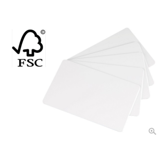 EVOLIS Papierkarten, 500 Stück
