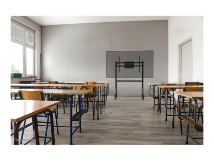 Image a55b7440-f79f-4909-acd1-376d84484a8e.jpg Image